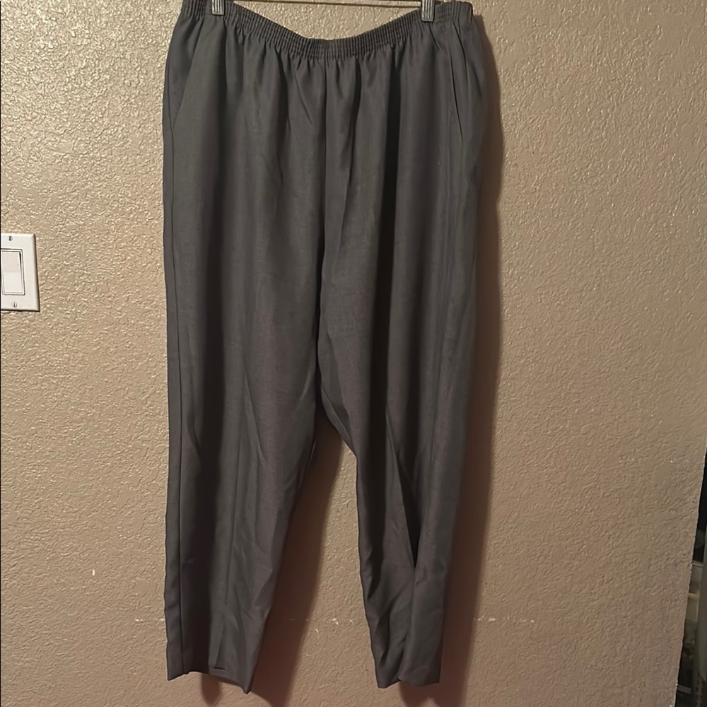 Alfred Dunner 20W stretch Gray Pants